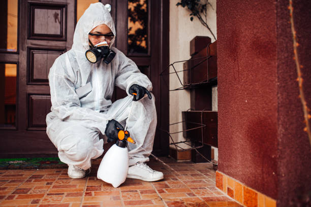Reliable Wasp Removal contractor in North Sea, NY by Show Me Pest Control